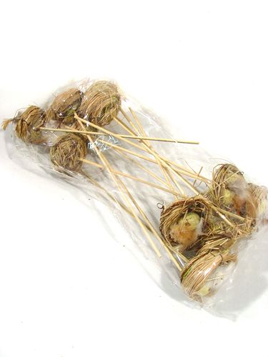 Floristik24 Bird's nest with eggs on the bar 6cm 6pcs