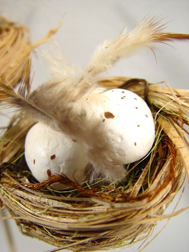 Floristik24 Bird's nest with eggs on the bar 6cm 6pcs