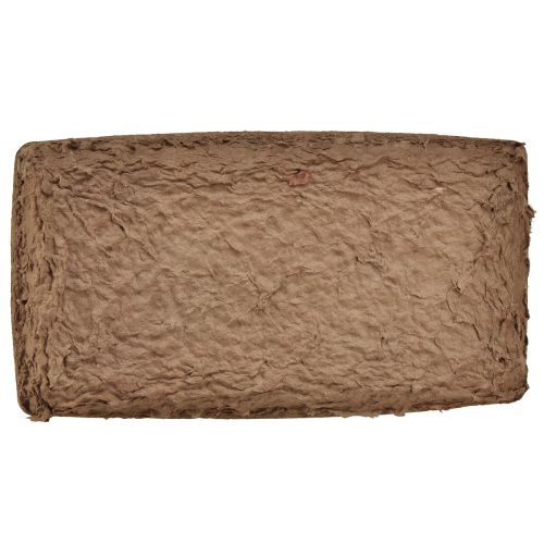 Product Oasis Biolit base for floral foam bricks 25×14×2cm 11 pcs
