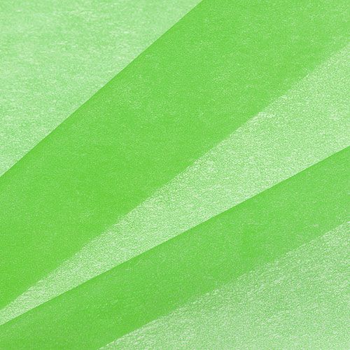 Floristik24 Decorative fleece 60cm x 20m green