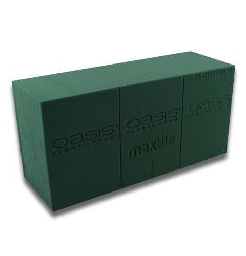 Floristik24 OASIS® plug-in moss maxlife standard 20 bricks