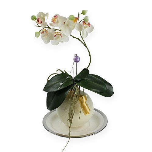 Floristik24 Foam balls cream 9cm 4pcs