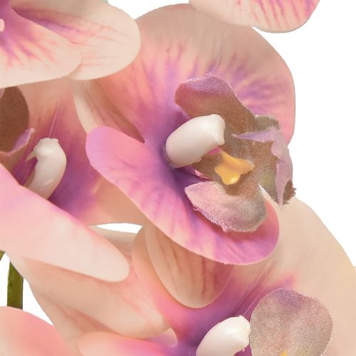 Product Orchid Phalaenopsis artificial 7 flowers violet cream 73cm