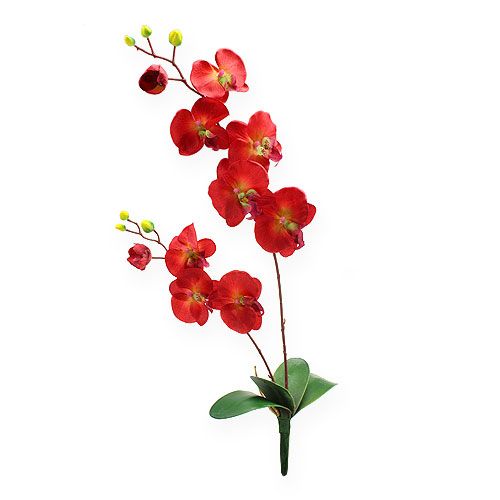 Floristik24 Deco orchid red 68cm