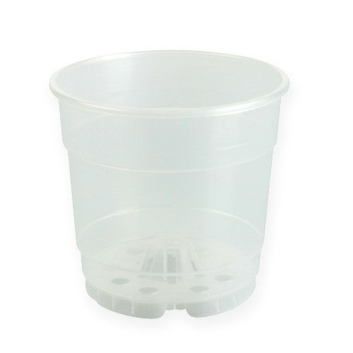 Floristik24 Plant pot for orchids Ø12cm transparent 10pcs