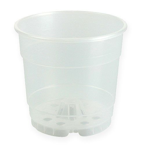 Floristik24 Plant pot for orchids transparent Ø15cm 10pcs