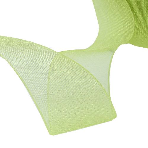 Product Organza ribbon with selvedge 2.5cm 50m light green