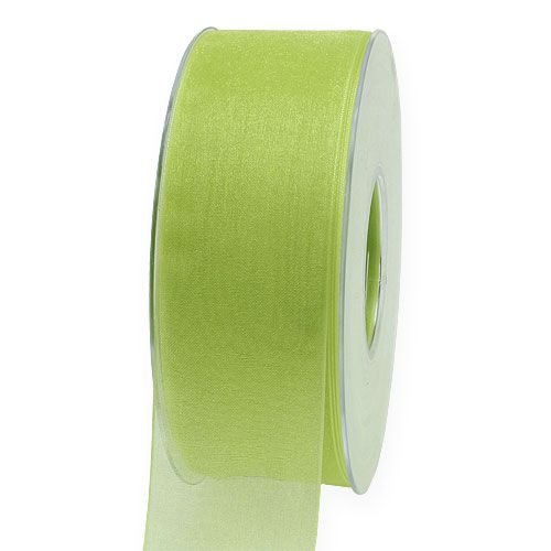 Floristik24 Organza ribbon with selvedge 4cm 50m light green