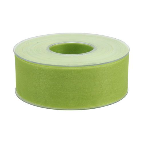 Floristik24 Organza ribbon with selvedge 4cm 50m light green