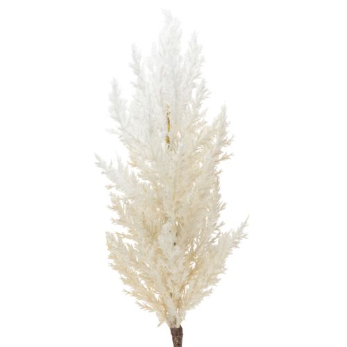 Floristik24 White Pampas Grass Artificial Dried Grasses Artificial Plants