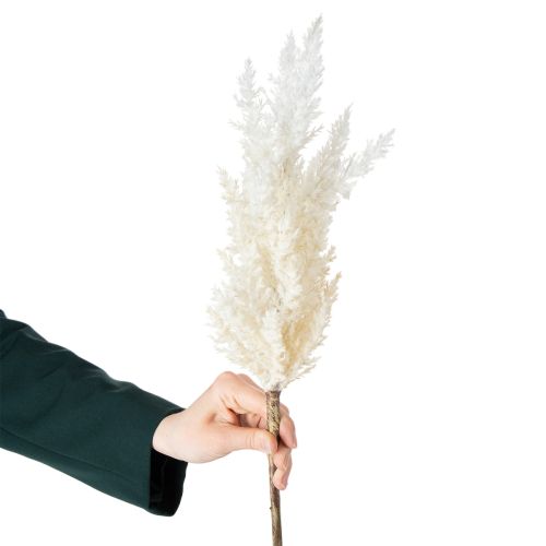 Product White Pampas Grass Artificial Dried Grasses Artificial Plants