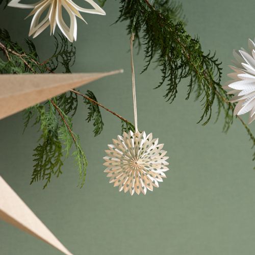 Product Paper star white star for hanging tree decoration Ø10cm 6 pcs