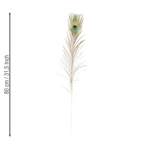 Product Peacock feathers decoration real bird feathers long 75-85cm 8 pieces