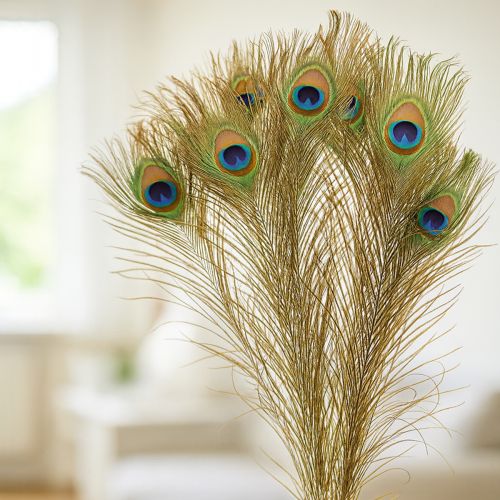 Product Peacock feathers decoration real bird feathers long 75-85cm 8 pieces