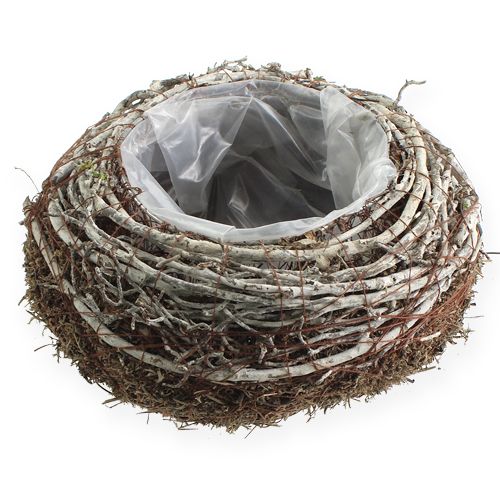 Floristik24 Planting bowl Ø18cm