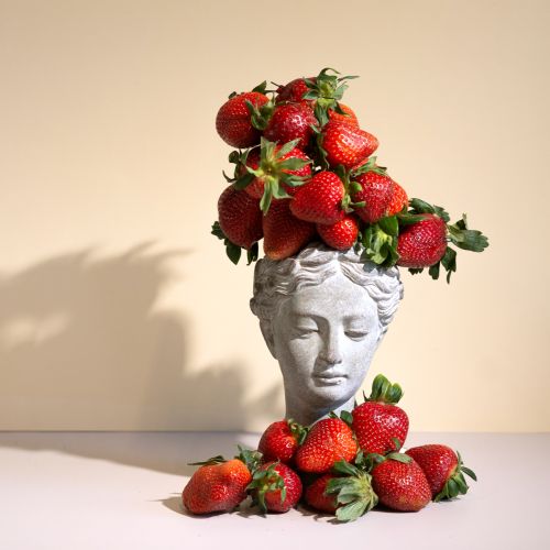 Floristik24 Plant head bust grey-blue Ø8cm H15cm