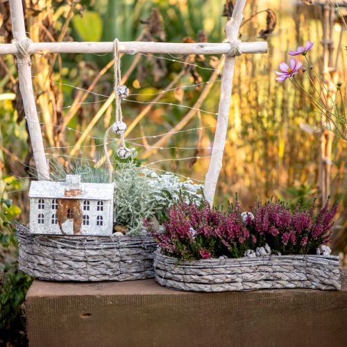 Plant bowl, planter gray 48.5/31.5cm set of 2