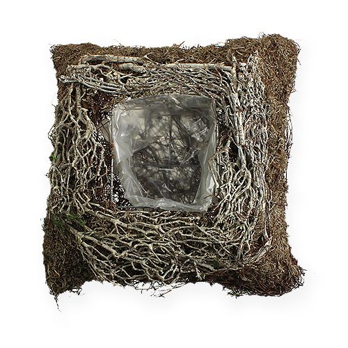 Floristik24 Planter square 20cm x 20cm