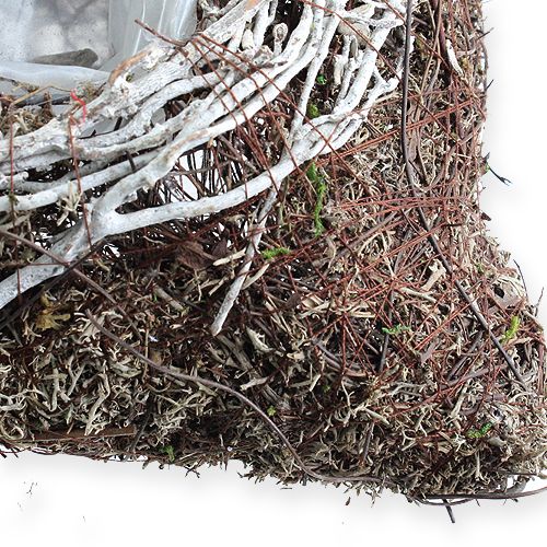 Floristik24 Planter square 20cm x 20cm