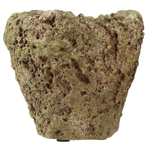 Product Plant pot rustic forest look planter Ø12.5cm H12cm 6pcs