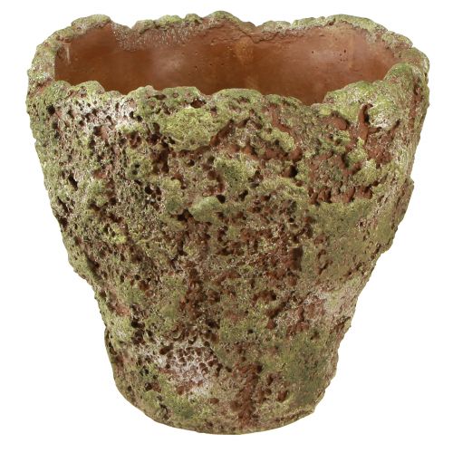 Floristik24 Plant Pot Rustic Planter Green Brown Ø21cm H19.5cm
