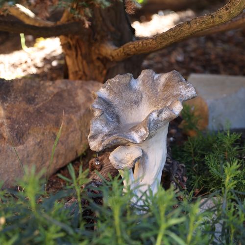 Mushroom decoration cast stone figure garden decoration gray 18×16×25cm