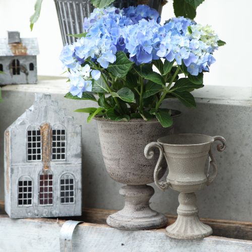 Floristik24 Trophy bowl grey Ø11cm H19cm