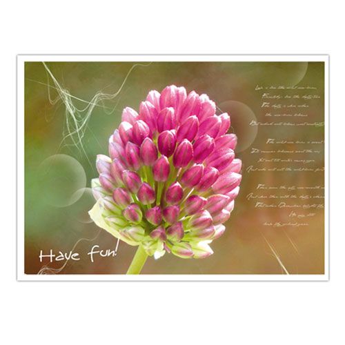 Floristik24 Postcards with floral motifs sort. 4st
