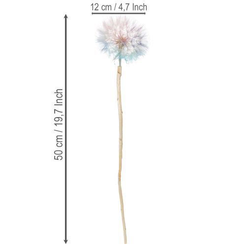 Product Dandelion decoration, dried flower, stabilized and dyed, delicate, durable, 12cm, 4 pieces