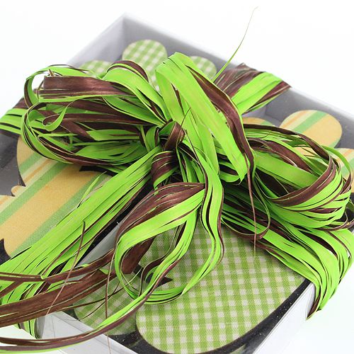 Product Raffia ribbon bicolour dark green-brown 200m