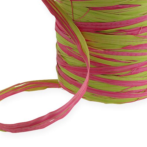 Floristik24 Raffia Band Bicolor Apple Green-Pink 200m