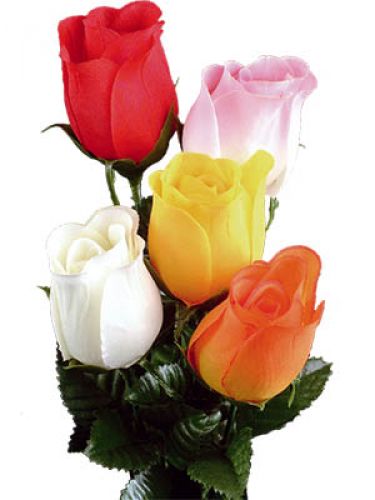 Floristik24 Rose colored 72 pcs