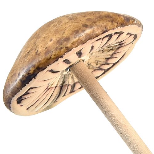 Product Rustic ceramic mushrooms on a stick – atmospheric autumn decoration 4cm 6 pcs
