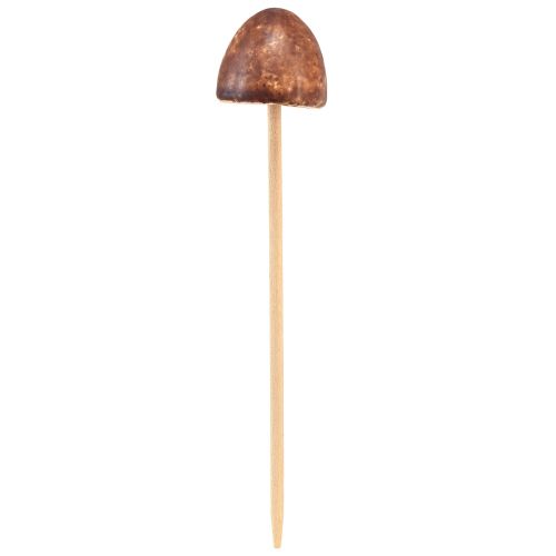 Product Rustic ceramic mushrooms on a stick – atmospheric autumn decoration 4cm 6 pcs