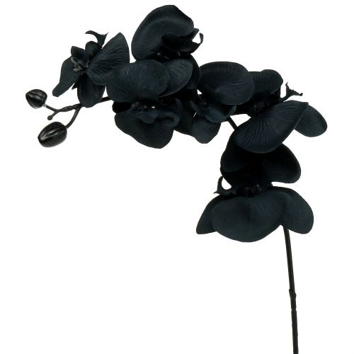 Orchid to decorate Black 54cm