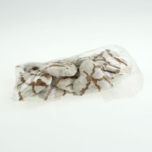 Floristik24 Sola Cabbage Heart 6cm flat 12 pcs.