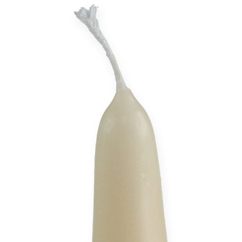 Floristik24 Pointed candle 300/40 cream 8pcs