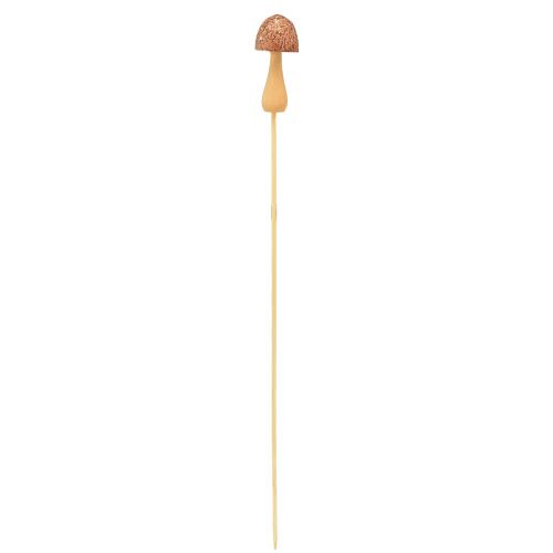 Product Flower plug mushroom decoration plug wood brown Ø2.5cm 8 pcs