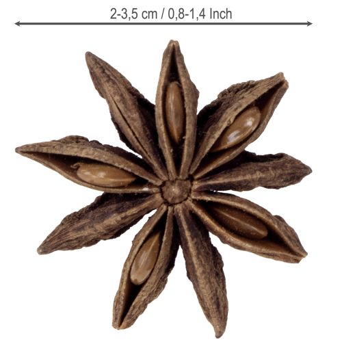 Product Star anise decoration craft items natural decoration dried anise 500g