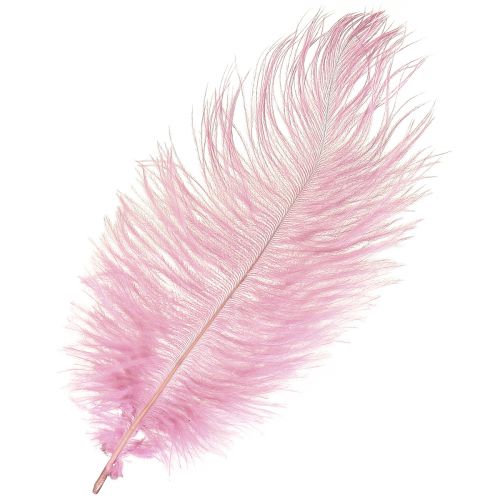 Floristik24 Ostrich Feathers Real Feathers Decoration Pink 20-25cm 12 pcs