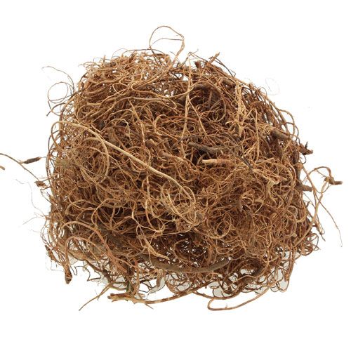 Floristik24 Deco fiber Tamarind Fiber Natur handicraft material natural fiber 500g