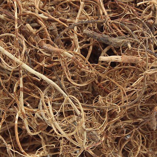 Floristik24 Deco fiber Tamarind Fiber Natur handicraft material natural fiber 500g