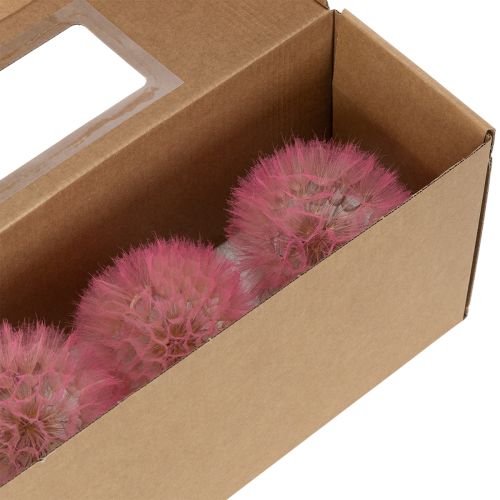 Product Giant dried dandelion decoration, elegant home accessory, 12cm, 4 pieces