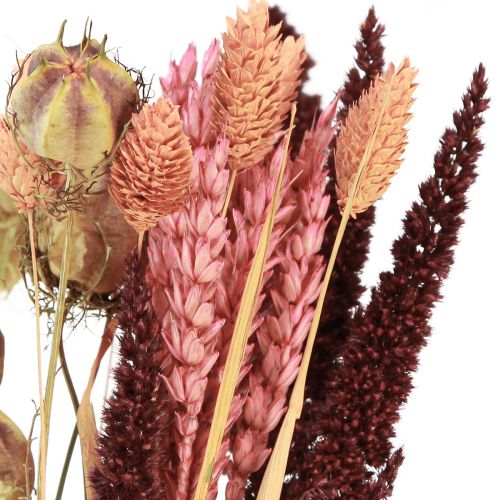 Floristik24 Dried flower bouquet grain nigella pink orange 50cm