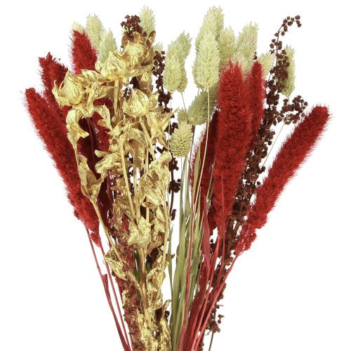 Floristik24 Dried flower bouquet grain dried bouquet red gold 50cm