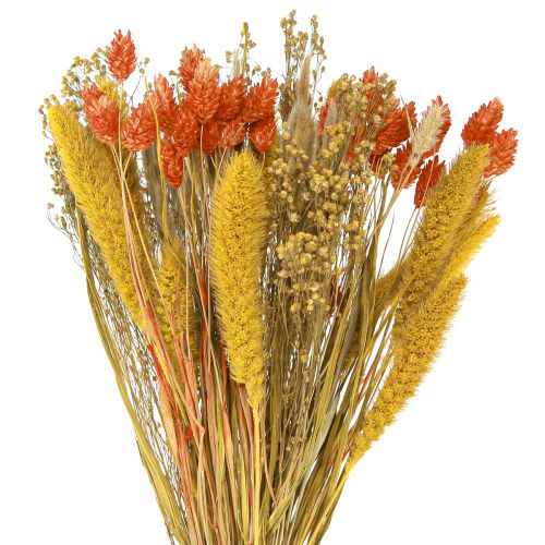 Floristik24 Dried flower bouquet with grain orange yellow 50cm