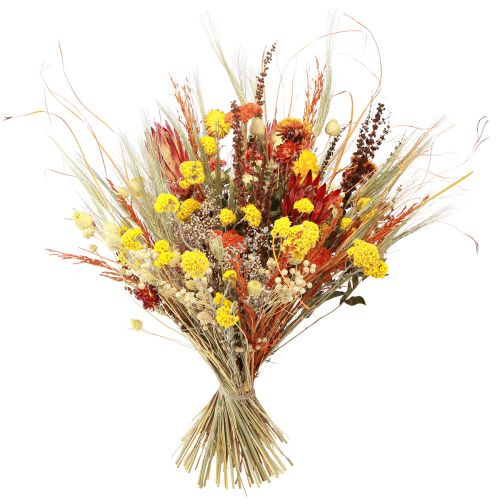Product Dried Bouquet Thistle Yarrow Orange Bleached 55cm 150g
