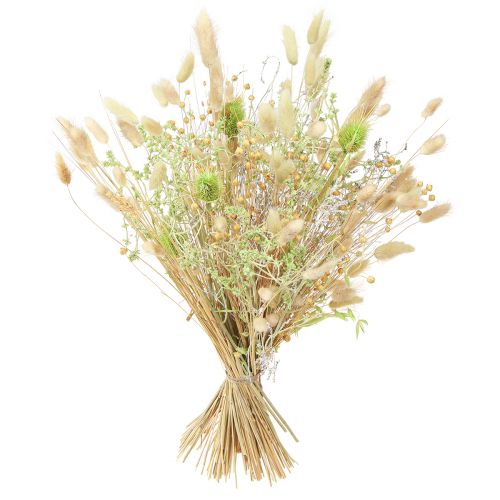 Product Dried Bouquet Teasel Oat Flax Mint Natural White 40cm 80g