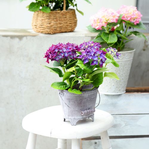 Floristik24 Planter Metal Oval Purple White Bowl with Base H14cm