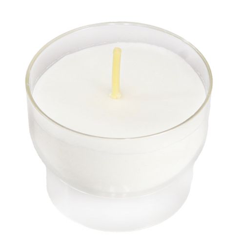 Floristik24 Votive candles in white with bowl Ø4.3cm 25 pcs